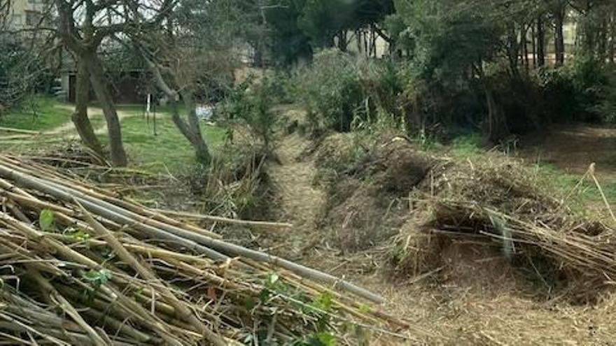 Palafrugell neteja una riera de Calella de residus i brossa