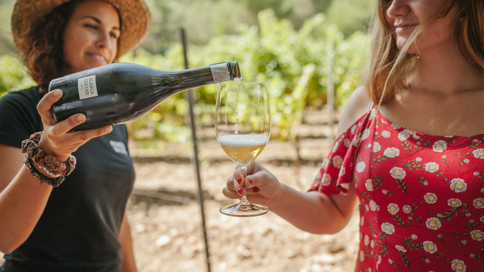 Vino de la bodega Parés Baltà