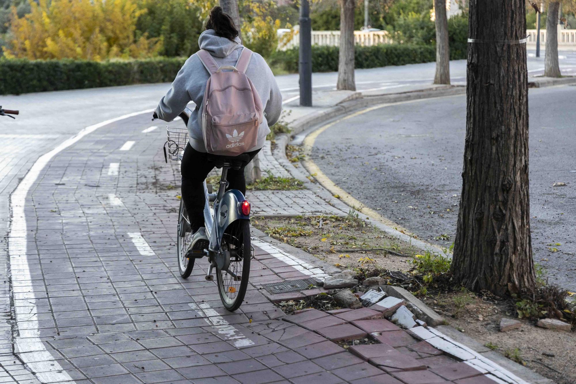 La falta de mantenimiento convierte este carril bici en una montaña rusa