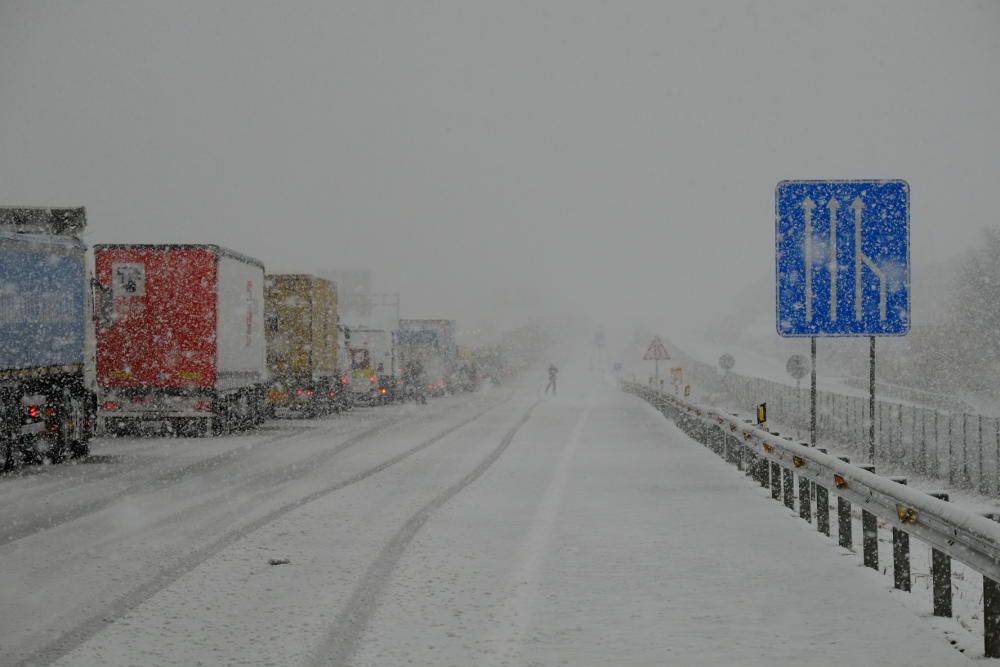 La neu cobreix les comarques alacantines.