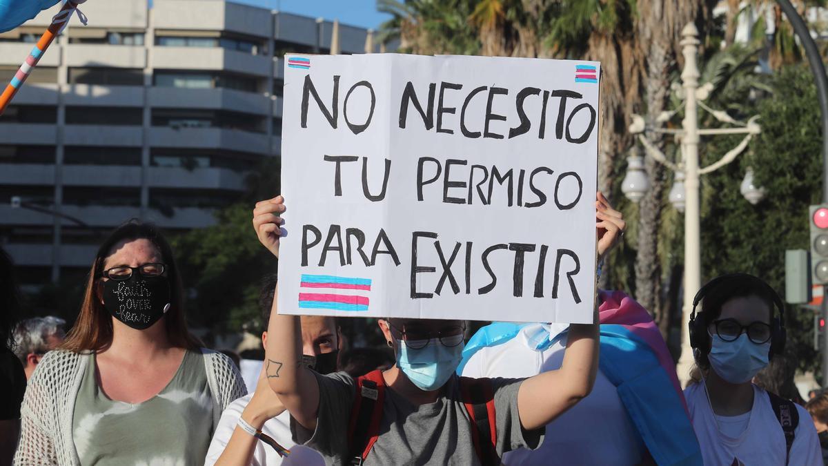 Valencia . Manifestación Dia del Orgullo LGTBI