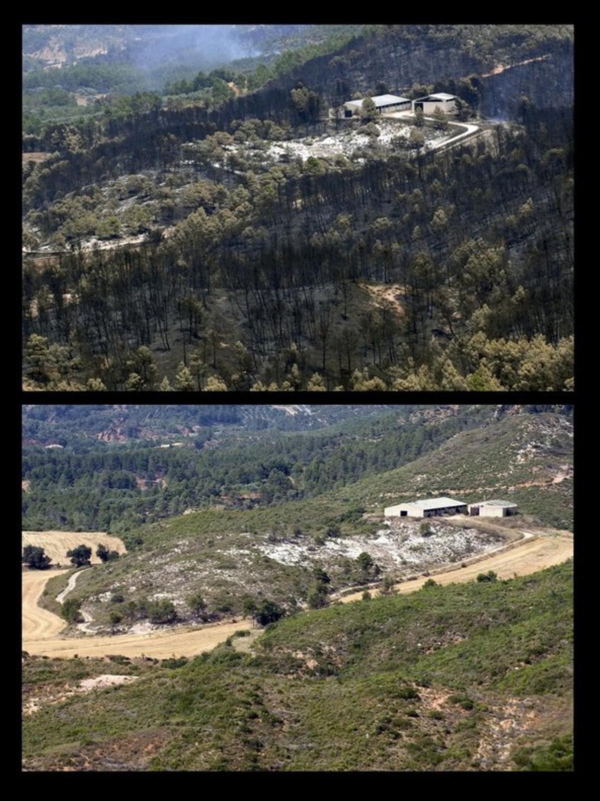 Antes y después del incendio de Horta de Sant Joan cuando se cumplen diez años.