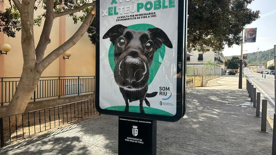 Riba-roja lanza una campaña para evitar los excrementos de animales en las calles