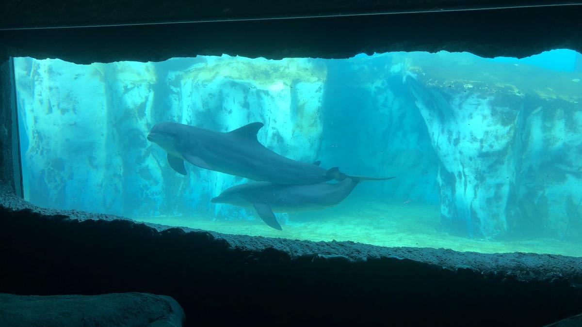 Aula ambiental del Rancho Texas Park