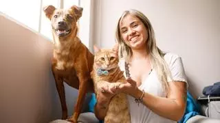 La ciencia explica por qué perros y gatos pueden reducir el estrés y mejorar el estado de ánimo