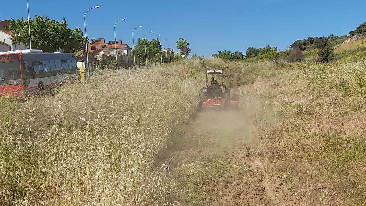 Desbroce con maquinaria, en Plasencia.