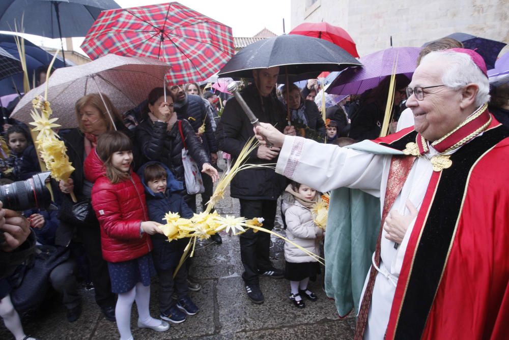 Benedicció de Rams a la catedral de Girona