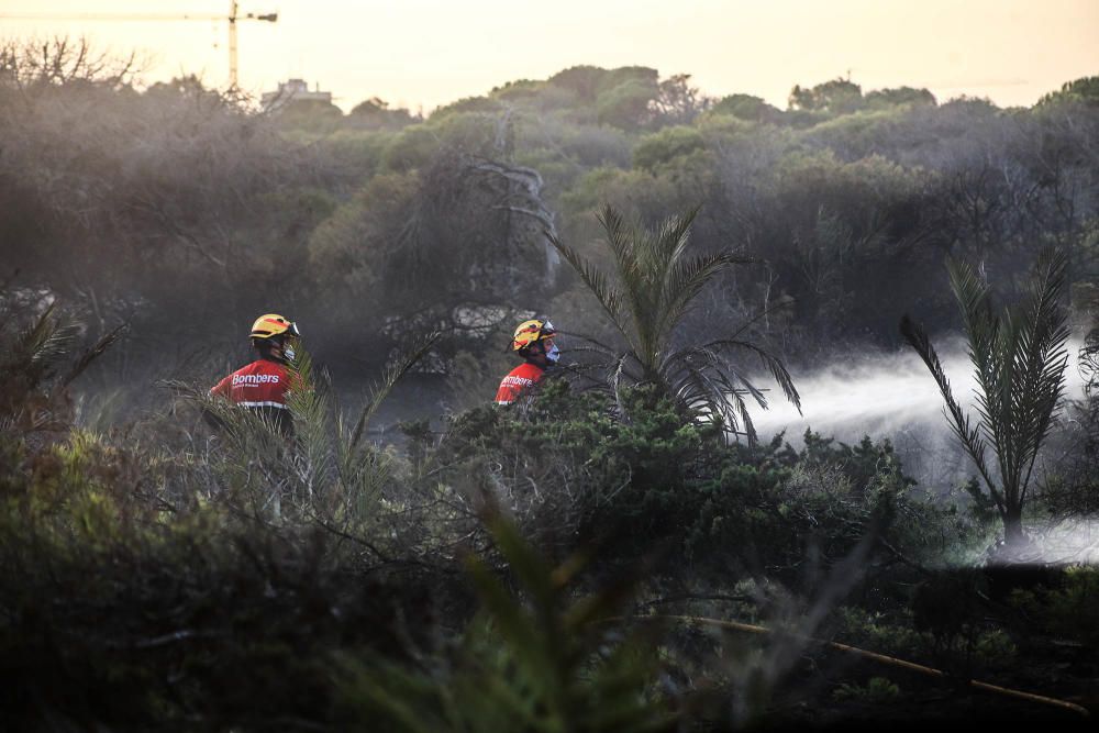 Tareas de extinción del incendio en Guardamar