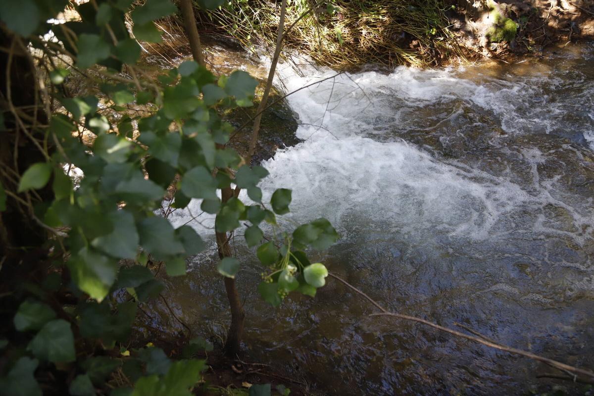 Los Baños de Popea, en imágenes
