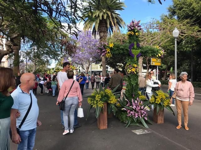 Concurso de Cruces de Flores Naturales