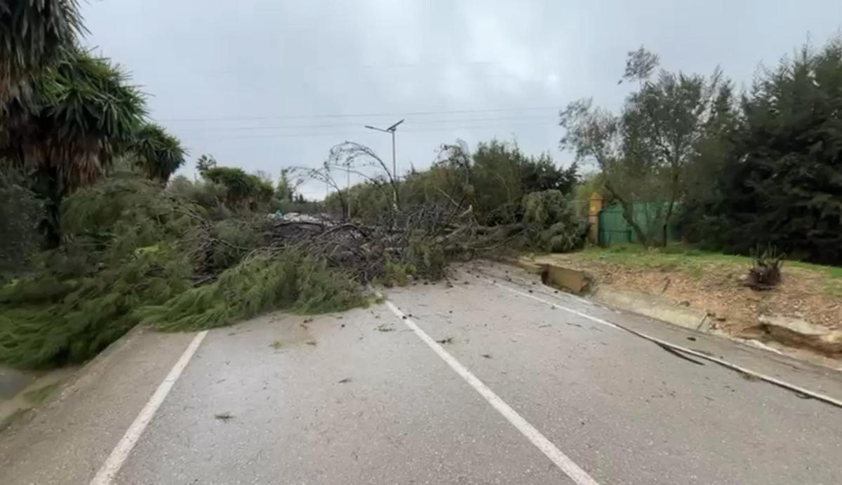 Carretera cortada en el acceso a Campo de Aras en Lucena.