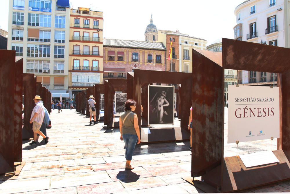 Exposición 'Sebastião Salgado. Génesis' en la plaza de la Constitución