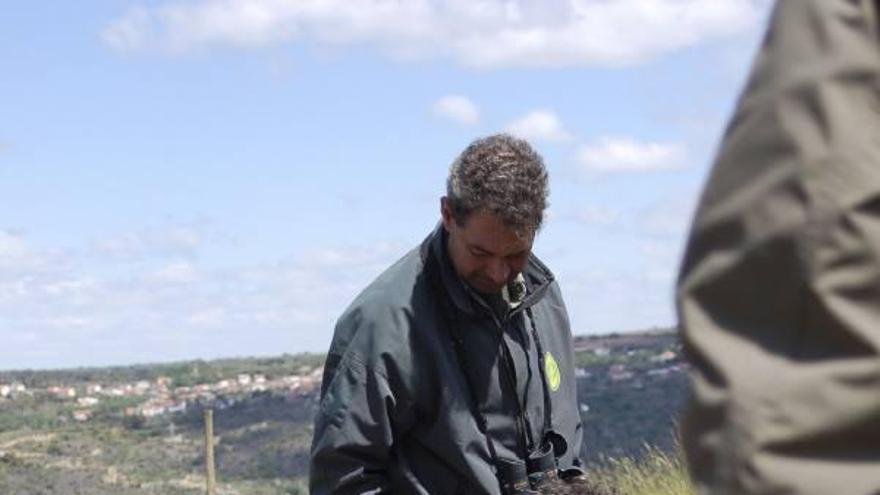 Un técnico procede a la suelta de un conejo en Torregamones para potenciar el alimento del águila perdicera.