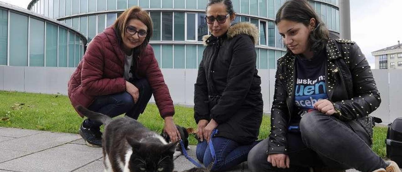 Fernández (izquierda) con otras mujeres del colectivo y con tres gatos que custodian. // Bernabé/Javier Lalín