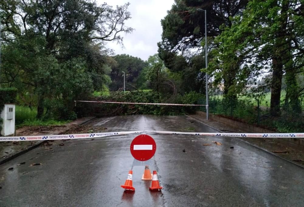 Petites inundacions a Santa Cristina d'Aro i caiguda d'elements en carrers