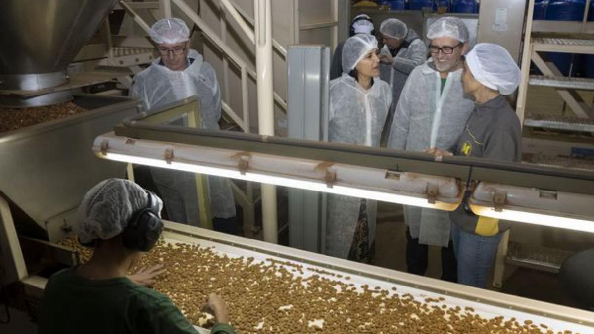 Martí visitó una fábrica de frutos secos en Albocàsser. 