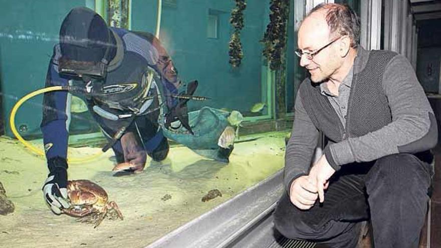 El hasta ahora director del museo, Pablo Carrera, junto al acuario del Museo del Mar.  // Ricardo Grobas