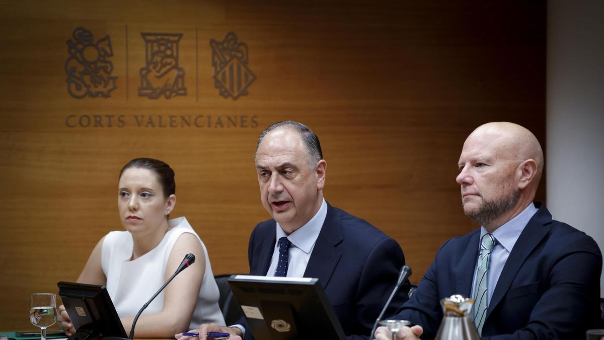 El conseller de Emergencias e Interior, Juan Carlos Valderrama, comparece en las Corts.
