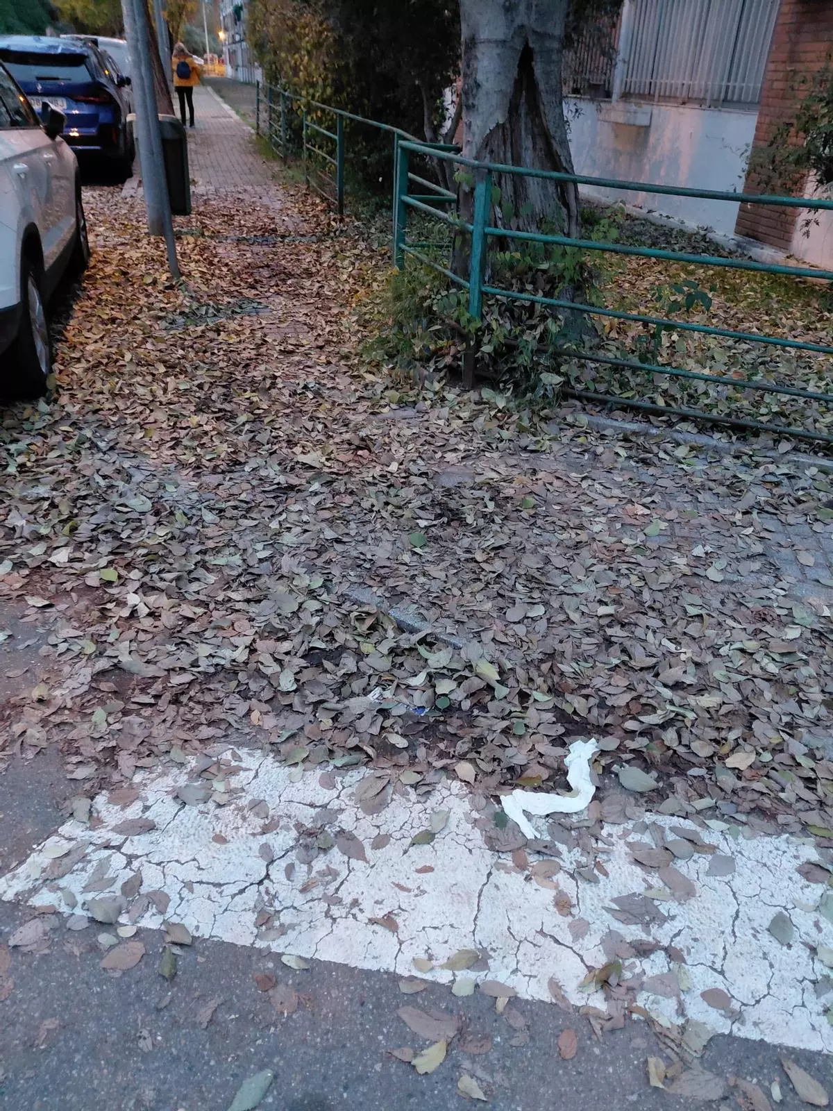 El Movimiento Ciudadano alerta del retraso en la retirada de la hoja caída en Córdoba y pide una reunión urgente con Sadeco