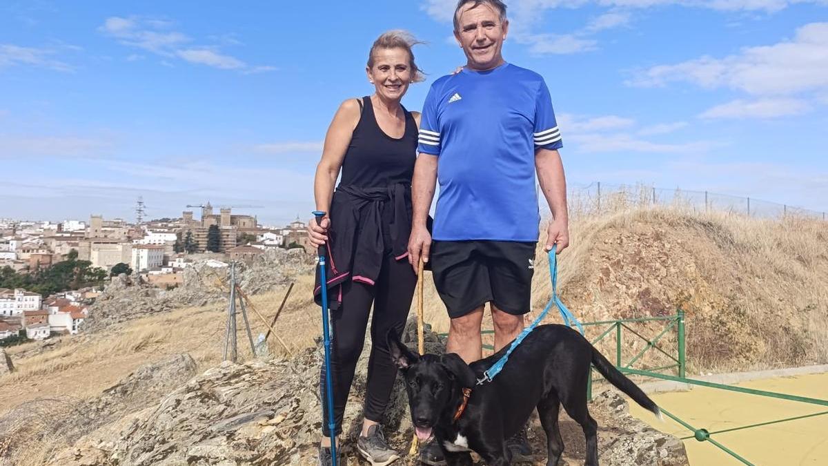 Galería | Así es Boss, el perro perdido en el entorno de Aliseda