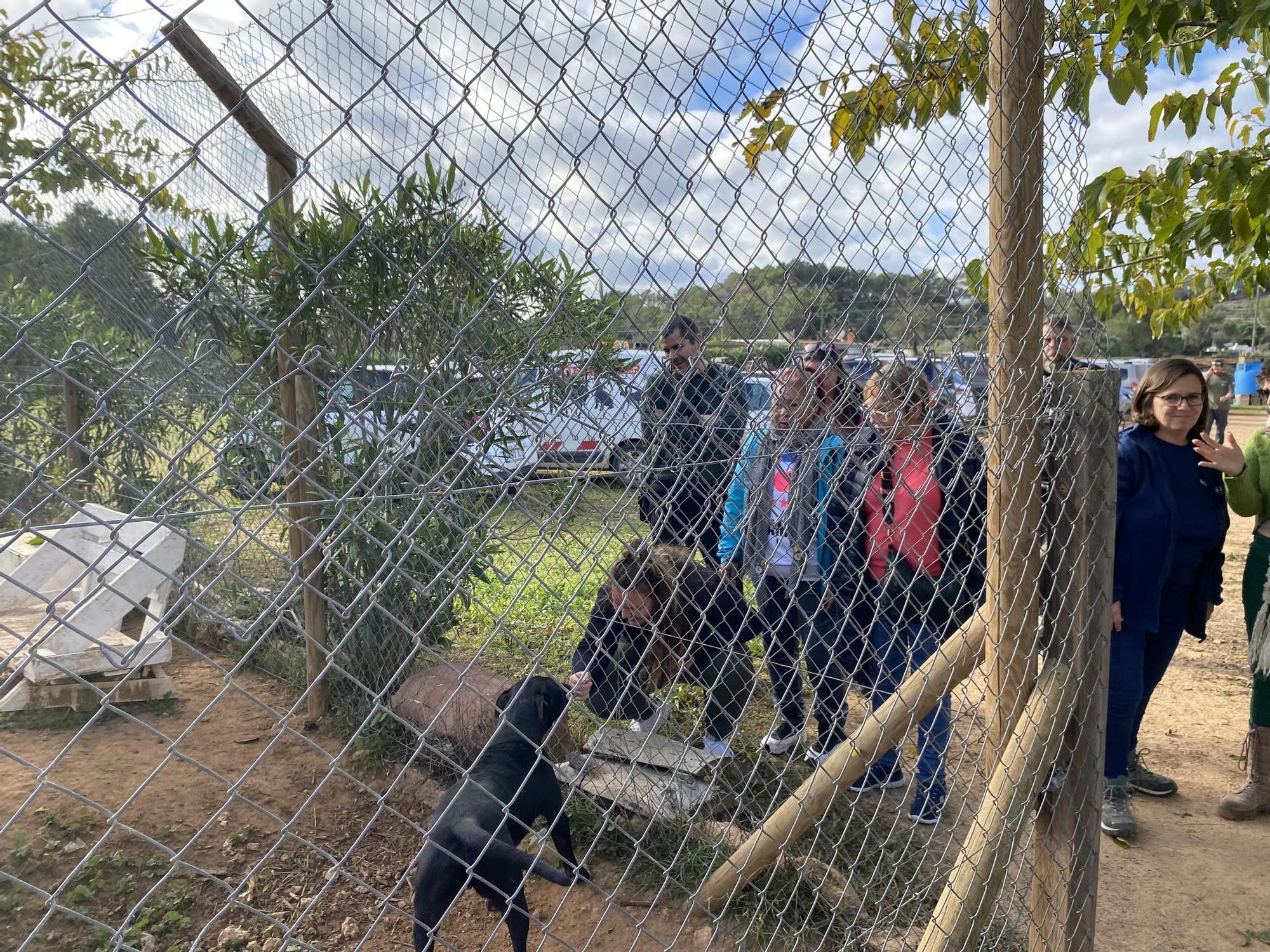 Visita al Cepad de usuarios y trabajadores del ámbito social de este jueves por la mañana.
