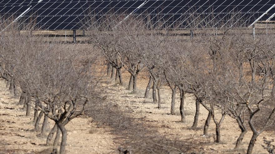 La instalación de plantas fotovoltaicas en Jaén puede conllevar &quot;graves consecuencias penales&quot;