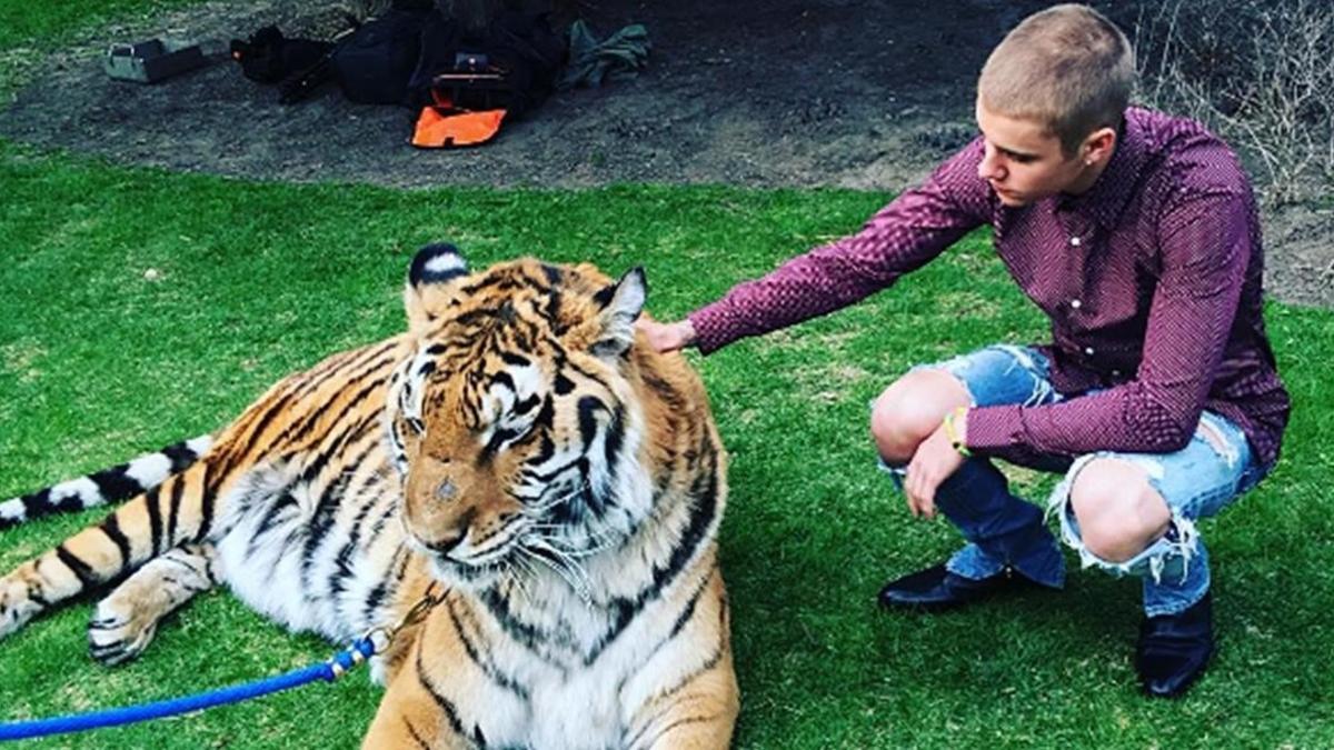 Justin Bieber posa con el tigre en la fiesta que ha organizado en Toronto.