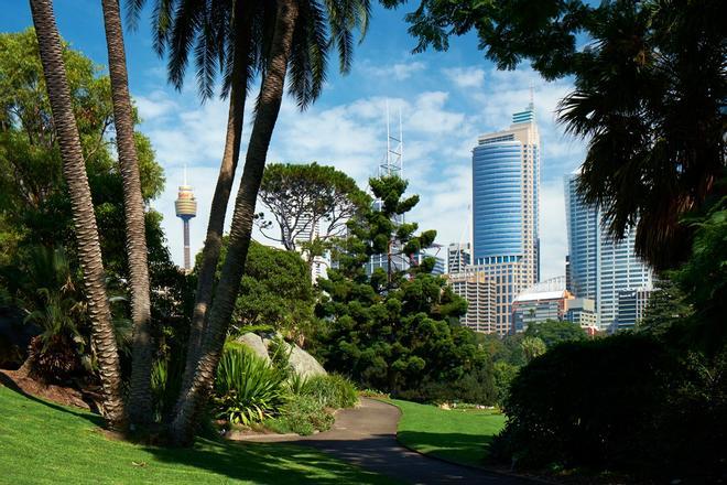 El Jardín Botánico Sidney