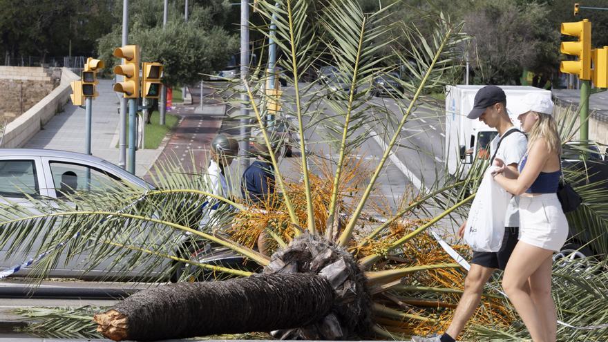 Tormenta en Mallorca: el vídeo de la violenta tormenta que azota Mallorca y siembra el caos