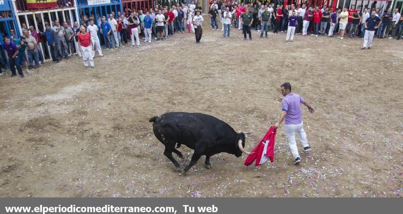 GALERÍA DE FOTOS -- Almassora se vuelca con las fiestas del Roser