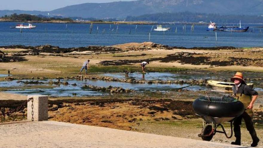 Actividad de marisqueo en los parques de cultivo de Carril. // Iñaki Abella
