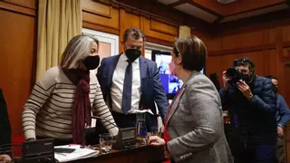 Cs Andalucía confirma que pidió a Dorado que se quedara y rechaza revisar el pacto de gobierno con el PP
