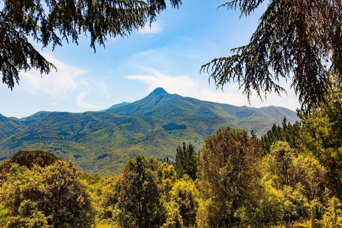 El parc natural del Montseny.