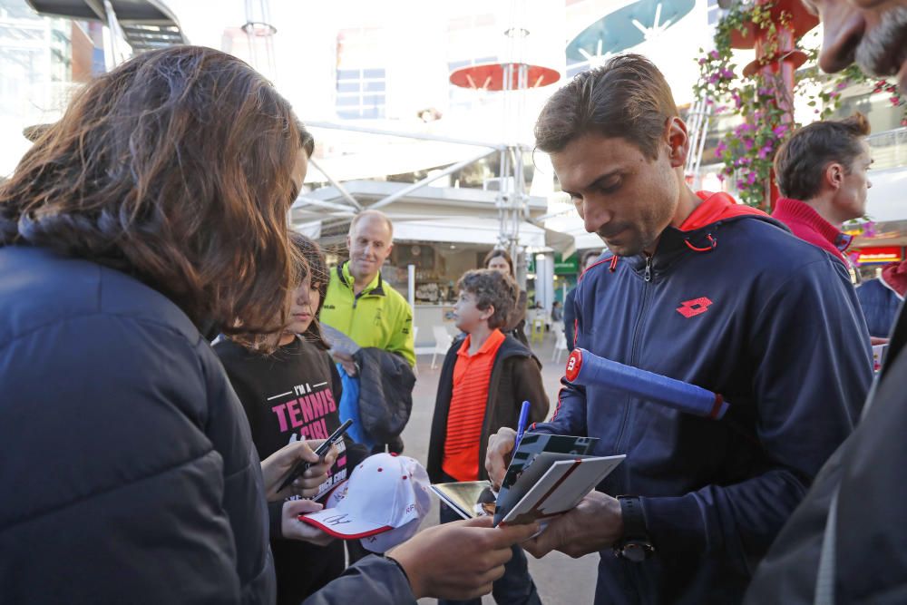 Baño de masas de David Ferrer en Valencia