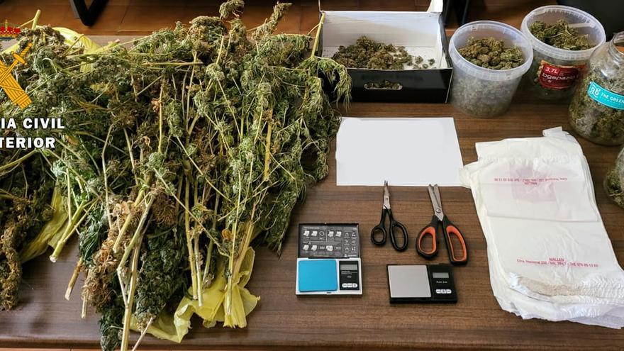 Mallén (Zaragoza): Detenido un vecino por cultivar más de seis kilos de  marihuana en su sótano