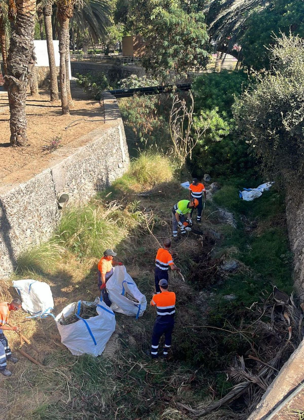 Operarios del Ayuntamiento de Mogán limpian un barranco. | AYUNTAMIENTO DE MOGÁN