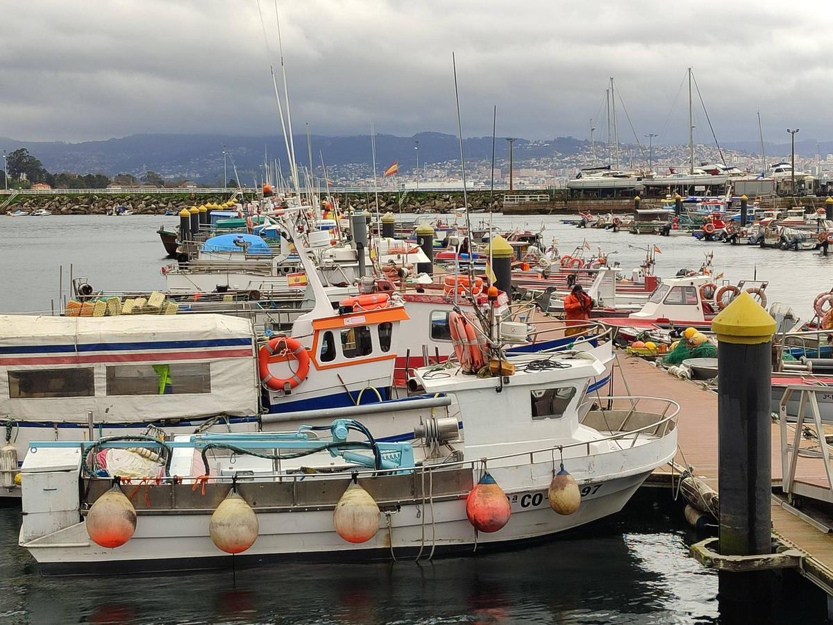 La flota de Cangas, amarrada ayer a puerto.