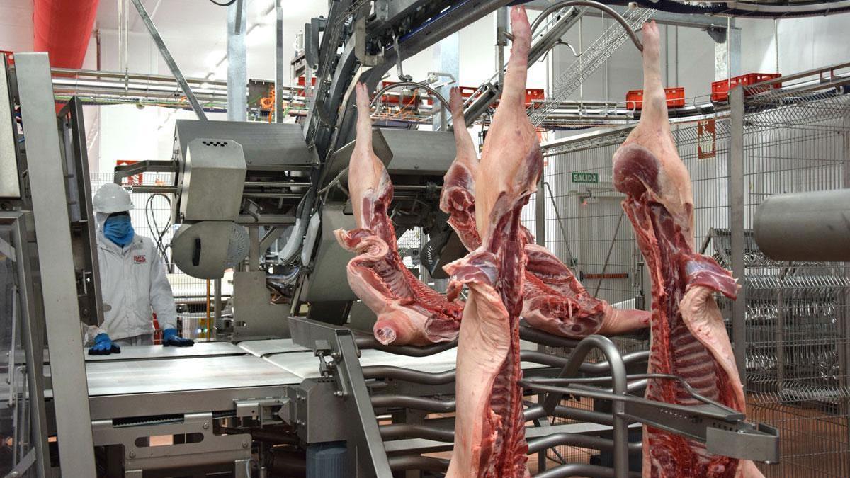 Litera Meat, innovación y calidad al frente del porcino aragonés