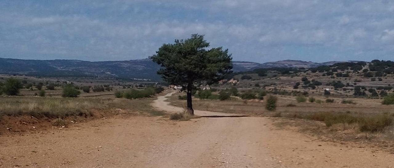 El territori en l&#039;arquitectura rural