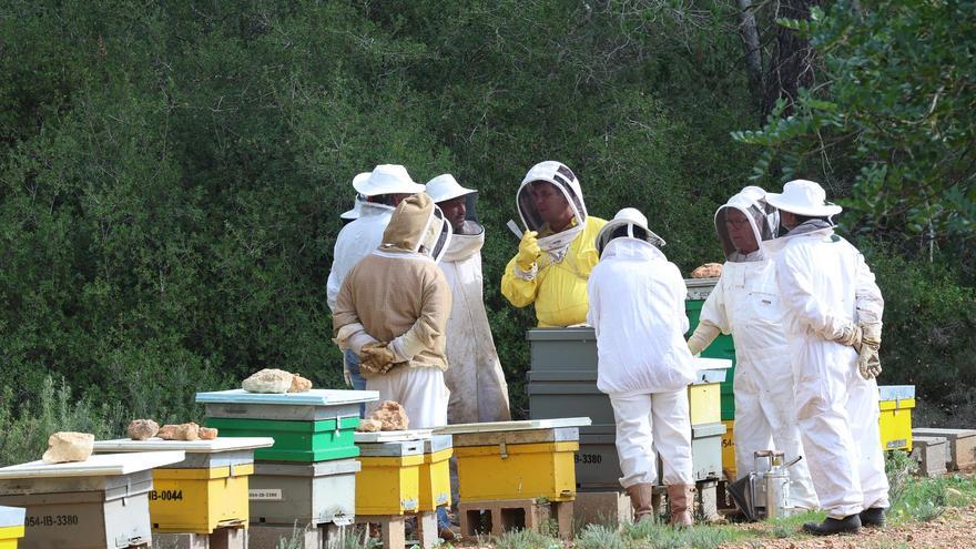 Curso sobre la producciónde própolis en Ibiza