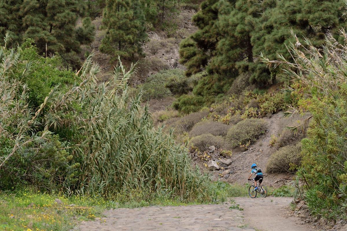 La Ruta en bici por el sendero del Guiniguada