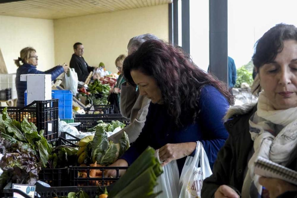 Mercado de berros a 1 euro en Ingenio