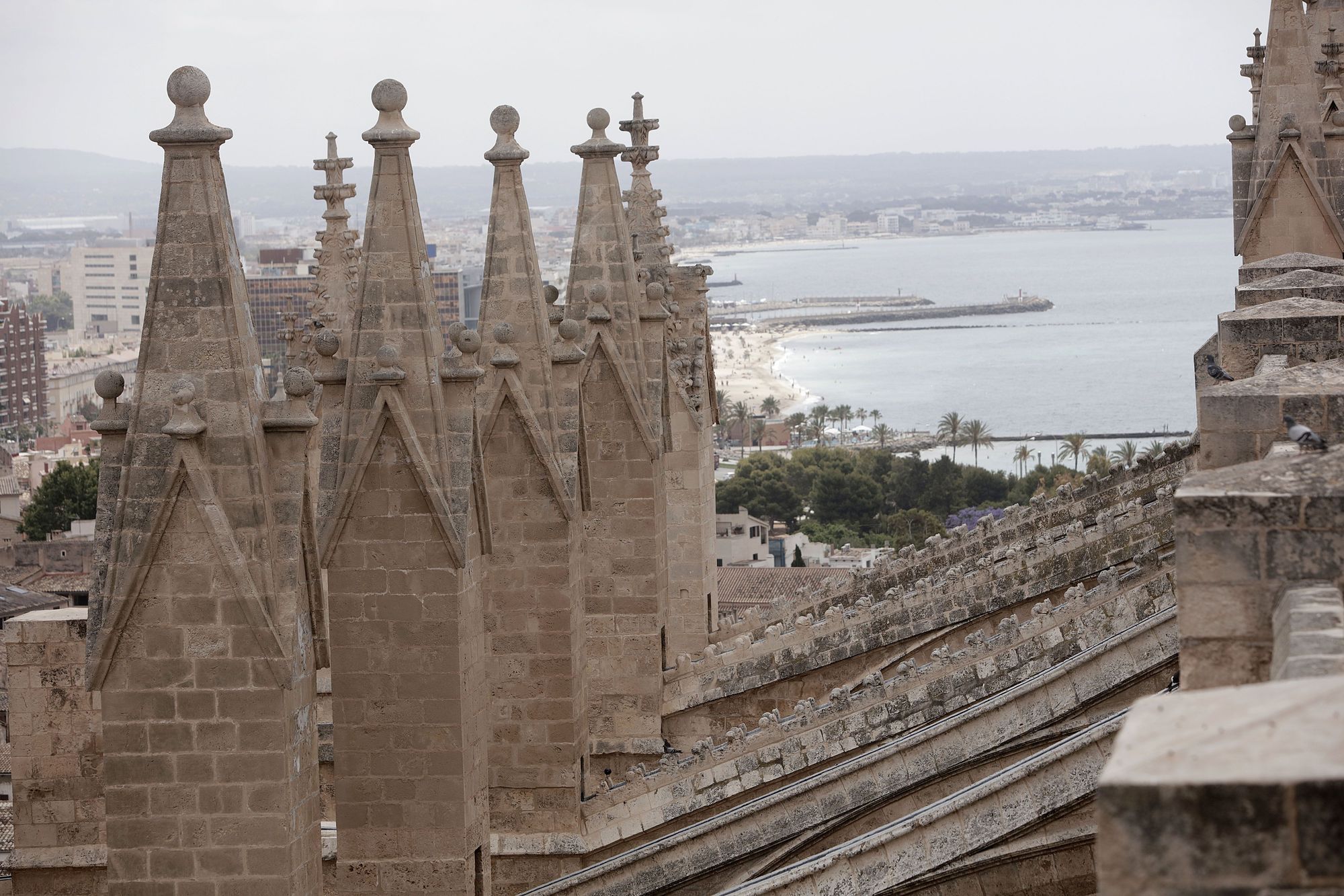 Spektakuläre Aussicht: So ist der Blick von der Dachterrasse der Kathedrale in Palma de Mallorca