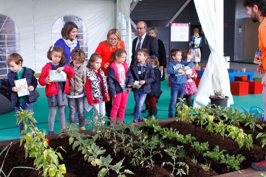 Ecocultura Zamora 2016