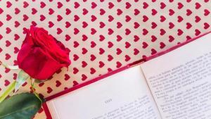 Imagen de archivo de un libro con una rosa.