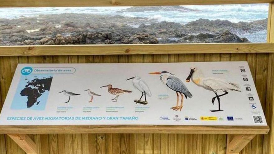 Tenerife will have an insular network of bird watching posts