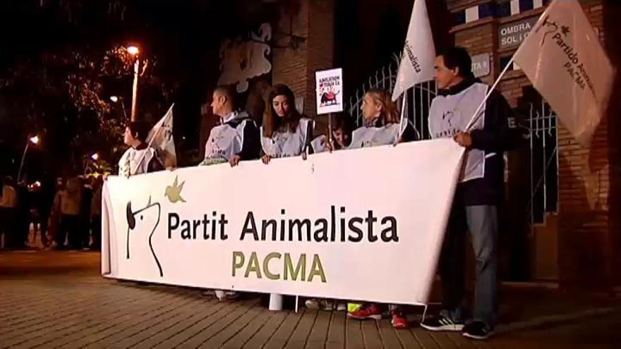 Taurinos y animalistas se manifiestan en Barcelona por la sentencia del TC