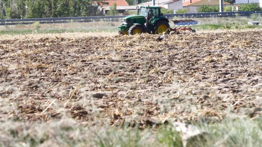 Labranza de una parcela agrícola en Zamora