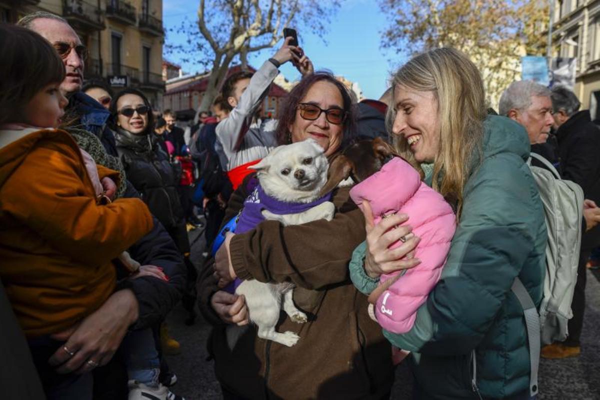 Bendición de animales en Els tres tombs