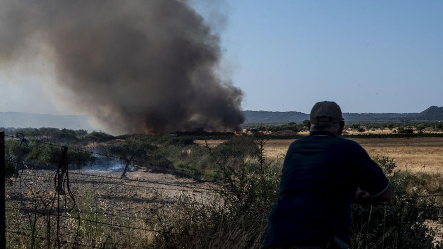Antonio Solís, alcalde de Arroyomolinos: "Cuando se desató el incendio, tocamos las campanas y la gente fue a por los animales"